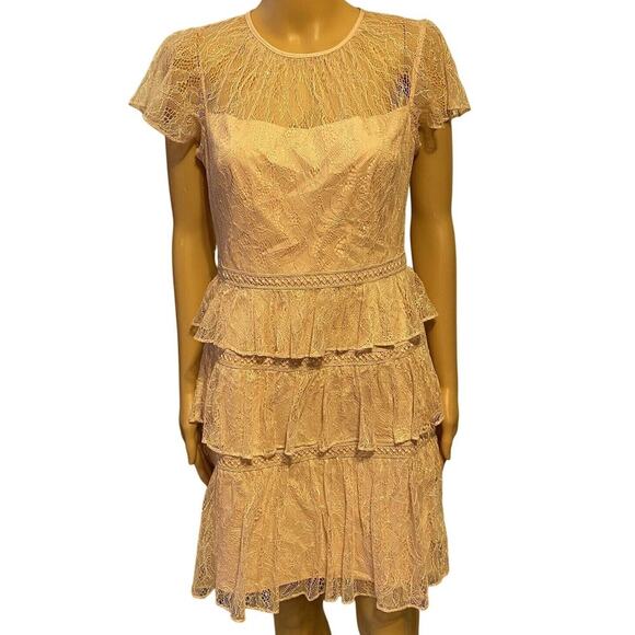 Adrianna Papell Dress Sz8 Pink Lace Fit and Flare Mini Layer Ruffle Fairy Formal - Picture 1 of 10